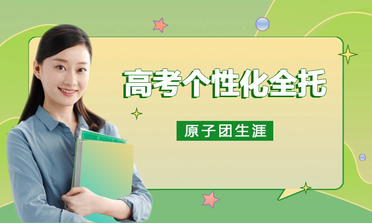 高考个性化全托